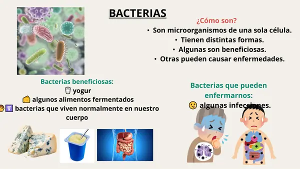 Virus y bacterias
