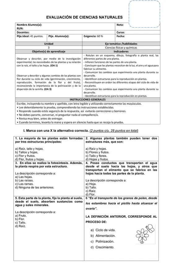 Evaluación Las plantas 3° año básico