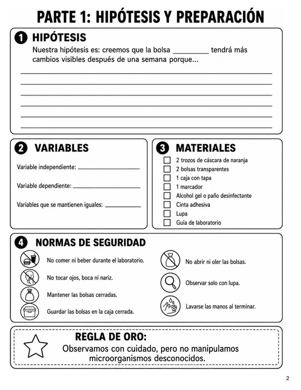 Laboratorio Microorganismos 5° Básico OA7 | Método Científico, Higiene e Indagación Experimental