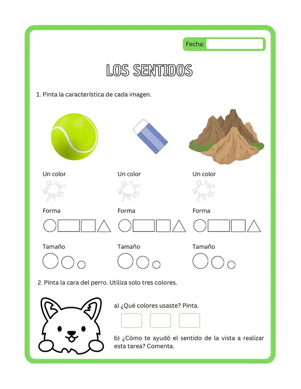 1° básico - Ficha de aprendizaje "Los sentidos"