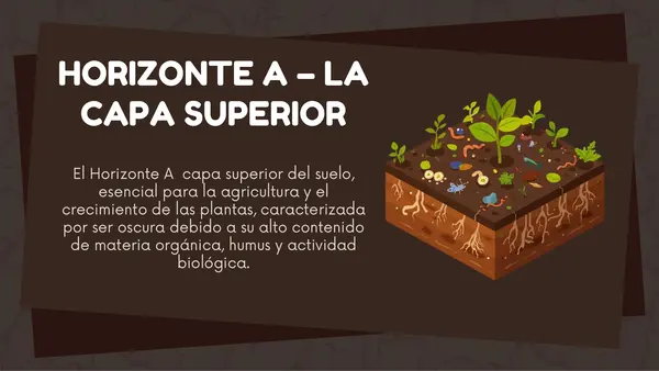 El suelo