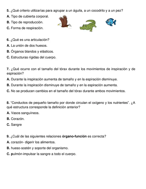 Evaluación segundo semestre Ciencias, 2°año.