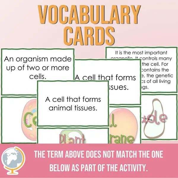 Cell Vocabulary Treasure Hunt