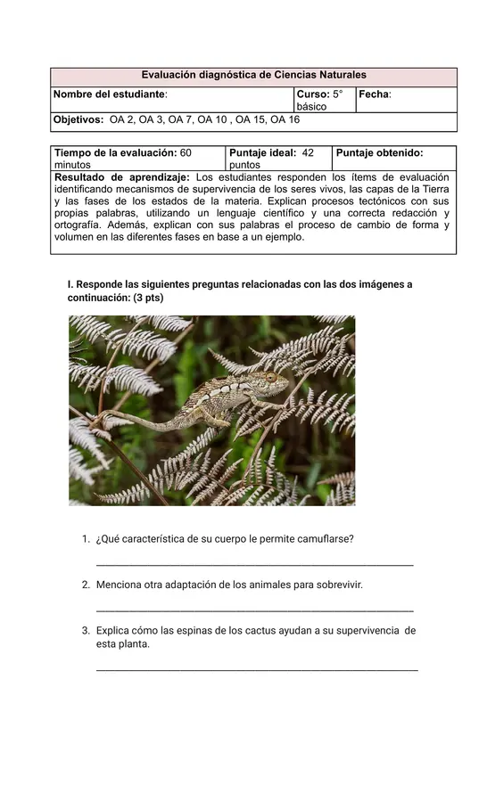 Prueba diagnostica de Ciencias naturales 5° básico