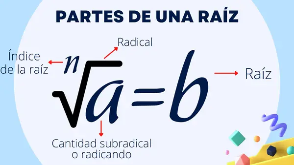 Clase Completa de Raíces