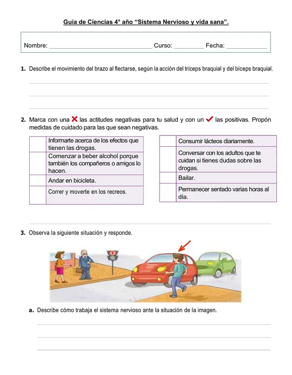Guía de ciencias 4°año "Sistema Nervioso y Vida sana"