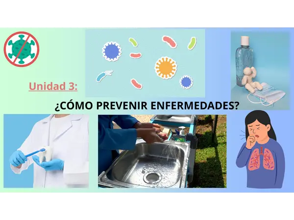 Virus y bacterias