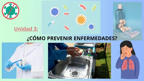 Virus y bacterias