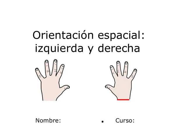 Orientación espacial