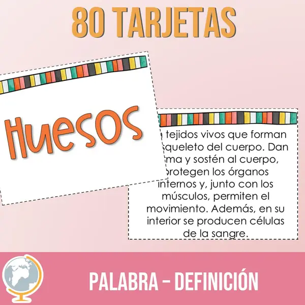 Sistemas del cuerpo juegos para practicar el vocabulario