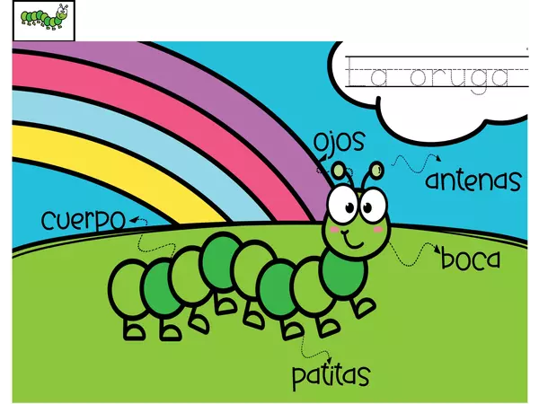 Insectos y conteo 