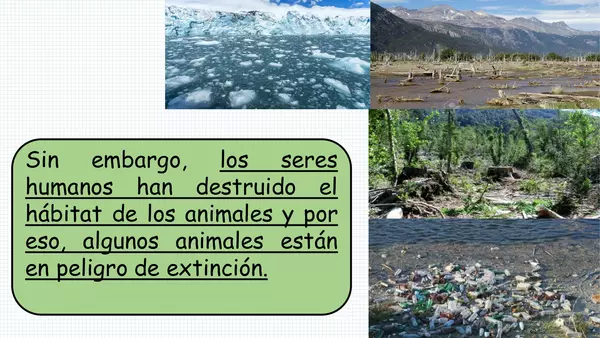 "PPT animales en peligro de extinción"
