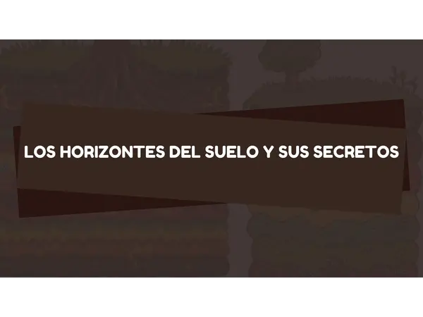El suelo