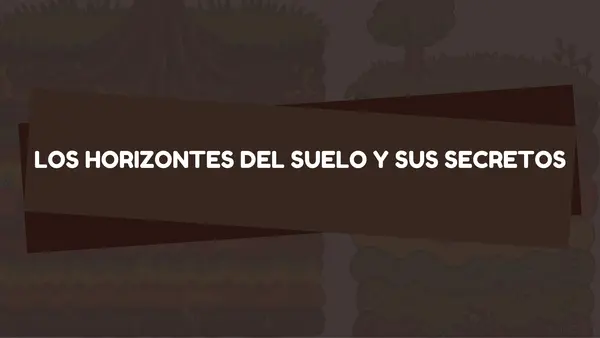 El suelo