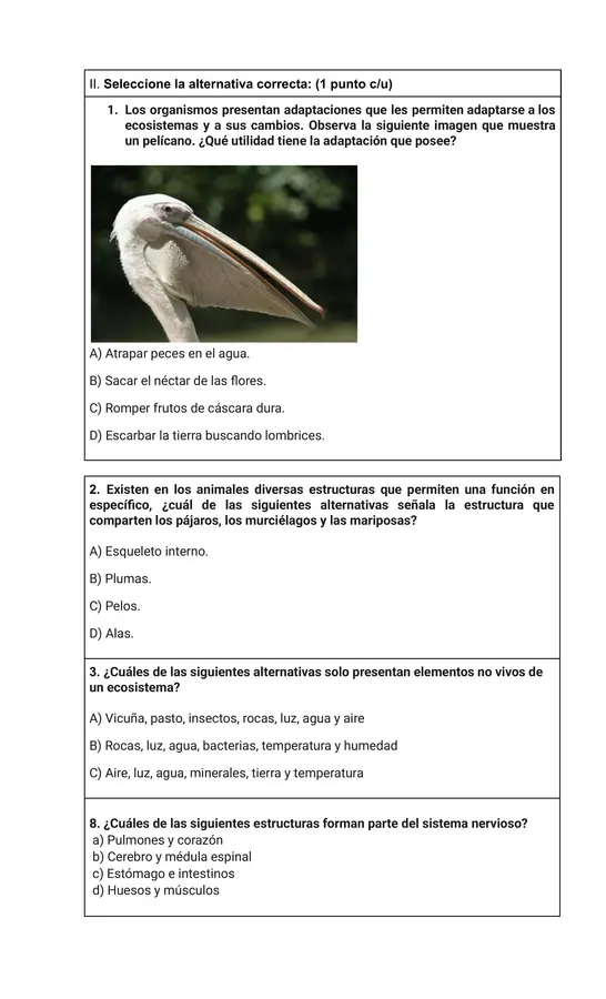 Prueba diagnostica de Ciencias naturales 5° básico
