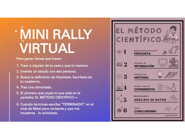 Mini Rally Virtual