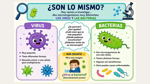 Virus y bacterias