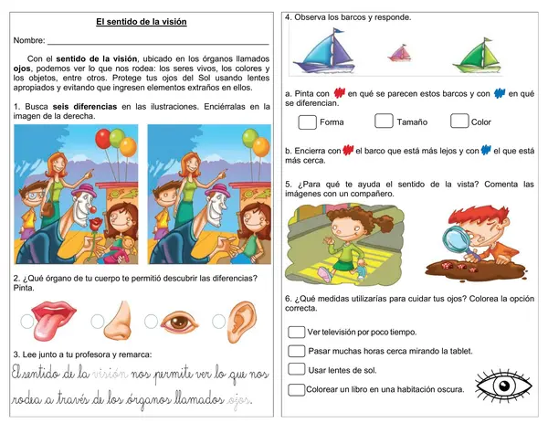 Guía de ciencias 1° básico "Sentido de la visión"