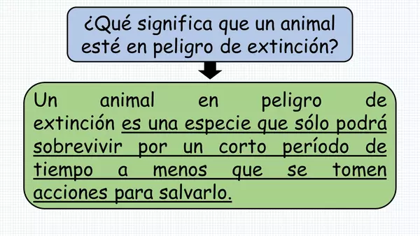 "PPT animales en peligro de extinción"