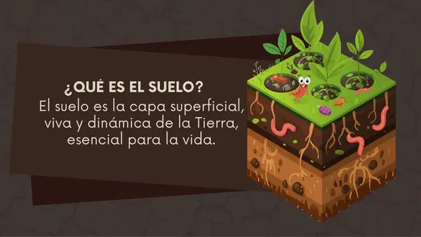El suelo