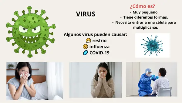 Virus y bacterias