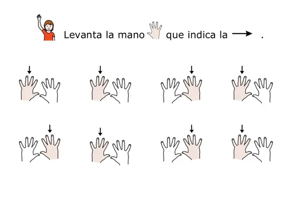 Orientación espacial