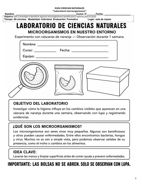 Laboratorio Microorganismos 5° Básico OA7 | Método Científico, Higiene e Indagación Experimental