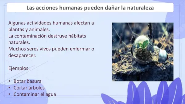 PPT ACCIONES QUE DAÑAN LOS ECOSISTEMAS