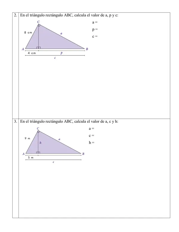 Evaluación corta teorema de euclides