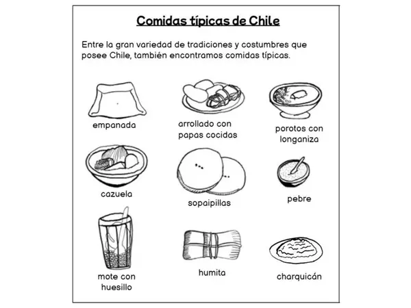 Fichas elementos típicos de Chile