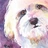 Dragonini - @dragonini