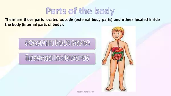 parts of the body