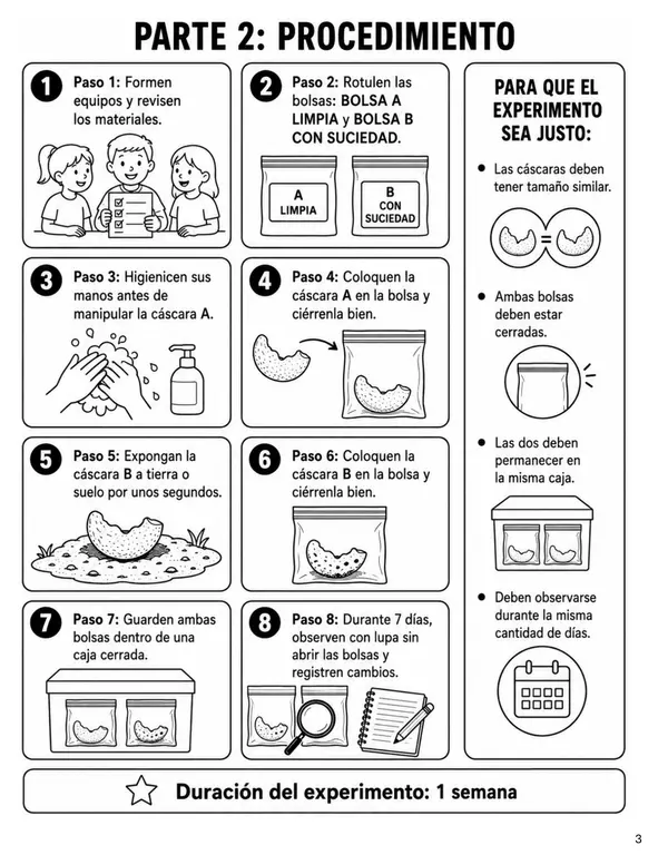 Laboratorio Microorganismos 5° Básico OA7 | Método Científico, Higiene e Indagación Experimental