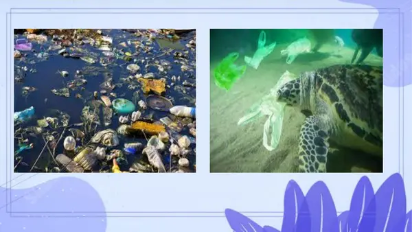 PPT ACCIONES QUE DAÑAN LOS ECOSISTEMAS