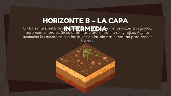 El suelo