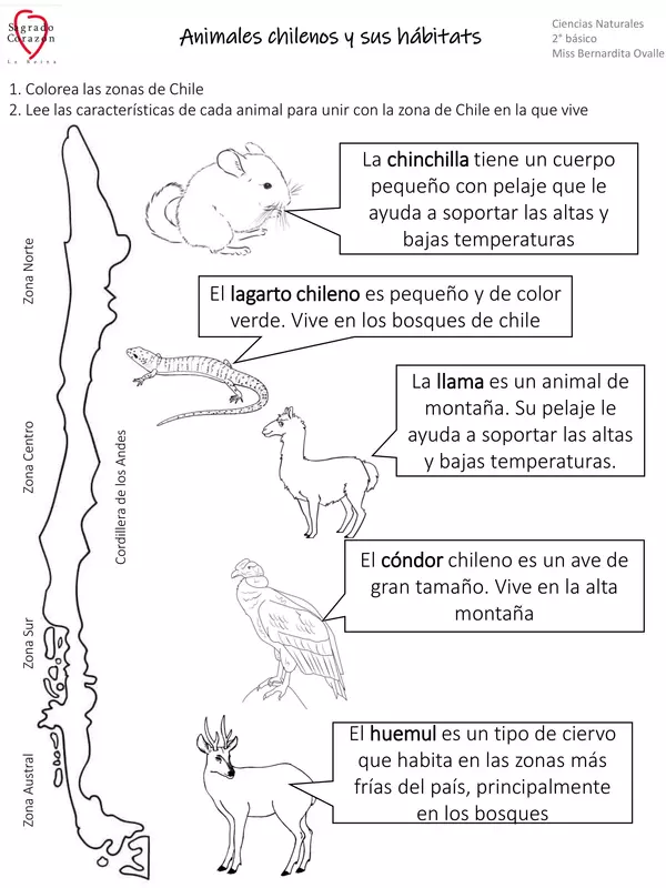 El hábitat de animales chilenos