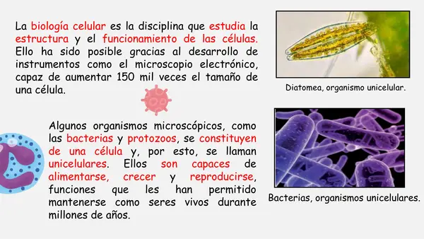 PPT - La célula