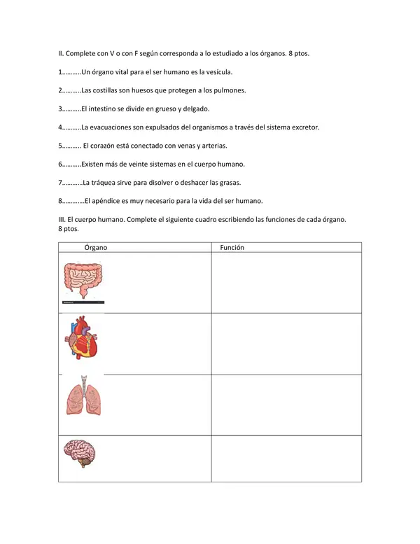 Prueba de Ciencias Naturales 5 básico