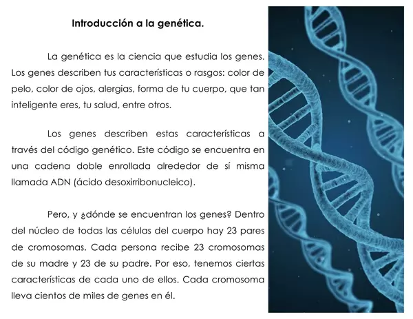 Proyecto genética: diseña tu propio monstruo