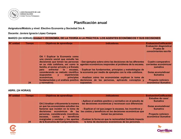 Planificación anual Electivo Economía y Sociedad 