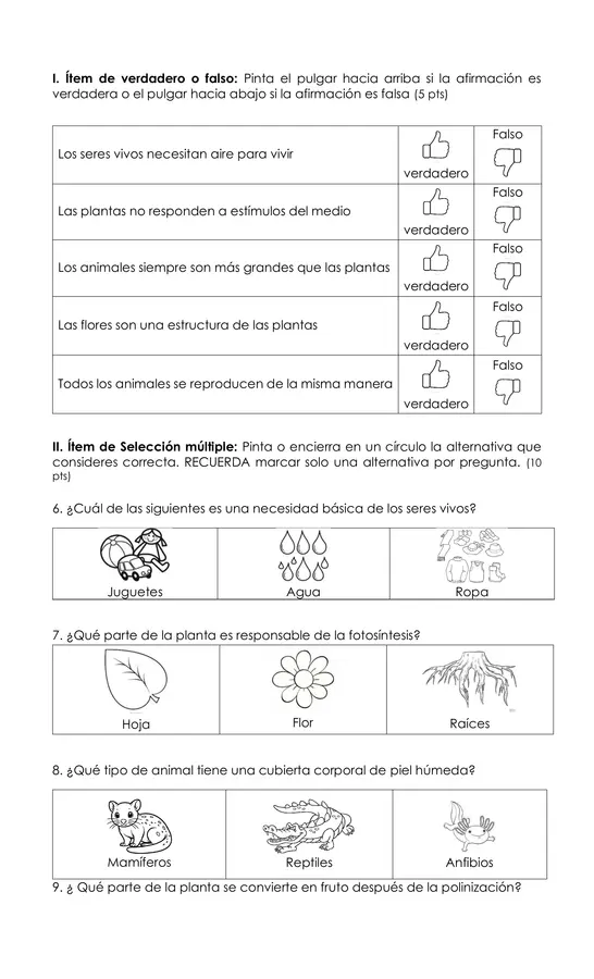Prueba unidad 2 Ciencias 1ro básico