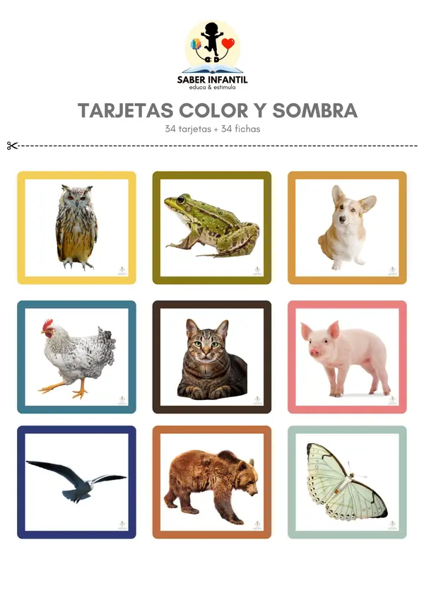 TARJETAS COLOR Y SOMBRA
