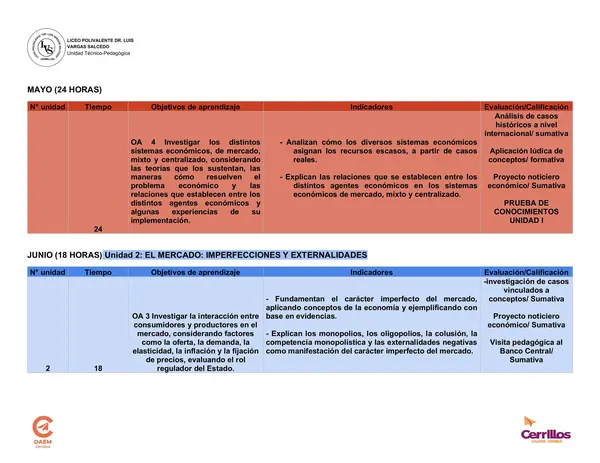 Planificación anual Electivo Economía y Sociedad 