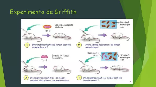 PRESENTACION HISTORIA DEL ADN, CUARTO MEDIO , BIOLOGIA