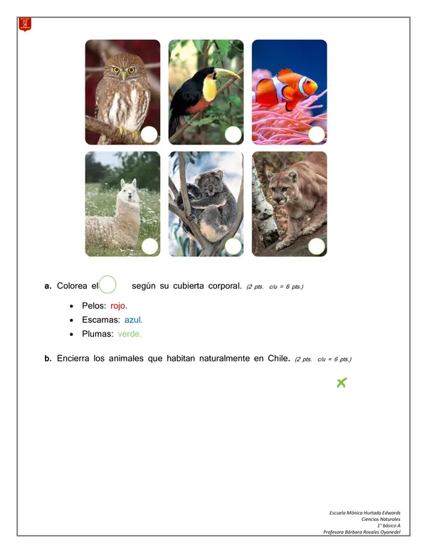 EVALUACIÓN ANIMALES DE CHILE