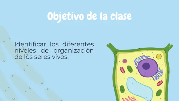 Niveles de organización de los seres vivos