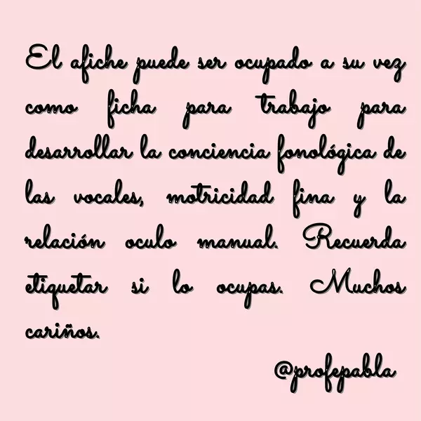 "Afiche y mini libro de vocales"