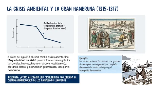 7° Fin de la Edad Media, peste negra