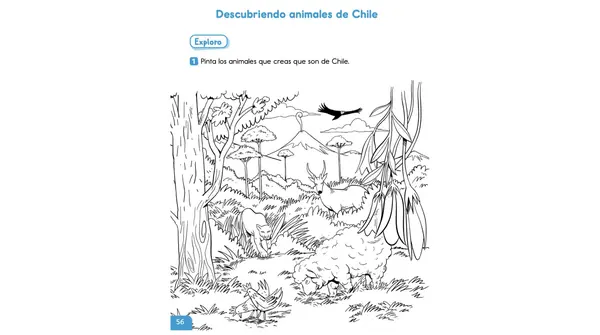 Clase 2 Lección 3 Unidad 2 "Descubriendo animales de Chile" 2° Básico
