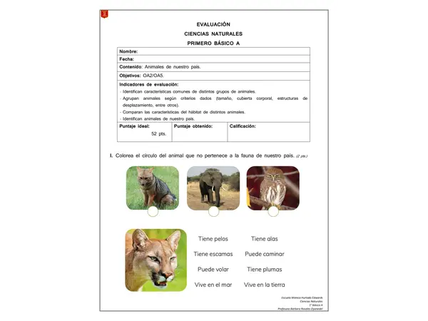 EVALUACIÓN ANIMALES DE CHILE
